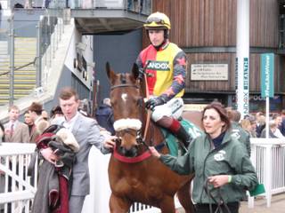 Race 5 q Mr Mercurial.jpg