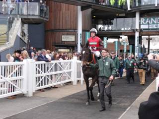 Race 5 z Darwins Fox.jpg