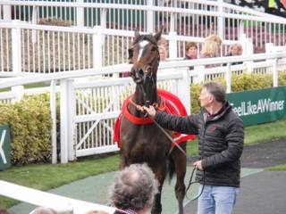 Goffs Sale 2.jpg