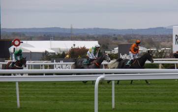 Race 1 i the runners pull up.jpg