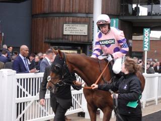 Race 3 f Silviniaco Conti.jpg