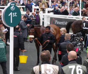 Race 3 q Cue Card.jpg