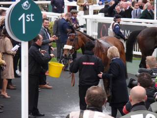 Race 3 r Cue Card.jpg