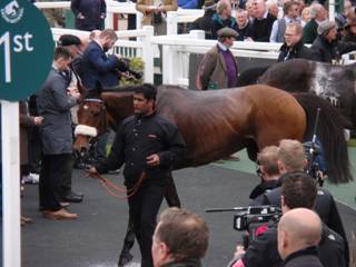 Race 3 s Cue Card.jpg