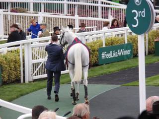 Race 3 z6 Smad Place.jpg