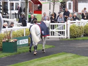 Race 3 z7 Smad Place.jpg