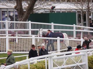 Race 3 z8 Smad Place.jpg