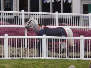 Race 3 z9 Smad Place.jpg