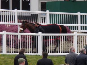 Race 3 z10 Cue Card.jpg