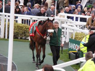 Race 4 a Old Guard.jpg
