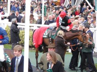 Foxhunters e Pacha Du Polder.jpg