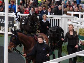 Race 6 a Red Rum runners.jpg