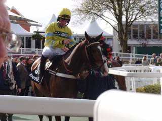Race 6 j Theinval.jpg