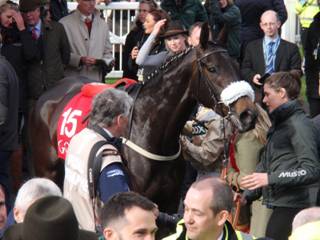Race 7 x Dame Rose.jpg