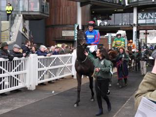 t race 5 Bear's Affair.jpg