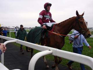 m Race 1 3rd Calino D'airy.jpg