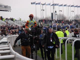 s race 3 winner Might Bite.jpg