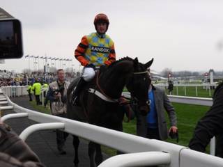 t race 3 winner Might Bite.jpg