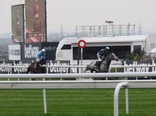 q race 4 cantering to the start.jpg