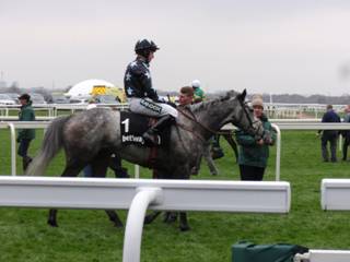 z1 race 4 Air Horse One.jpg