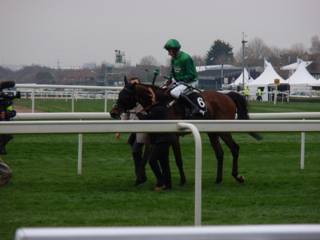 z2 race 4 winner L'Ami Serge.jpg