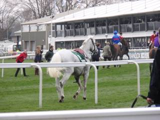 c race 5 grand vision.jpg