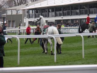 d race 5 grand vision.jpg