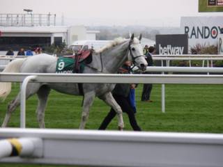 g race 5 grand vision.jpg