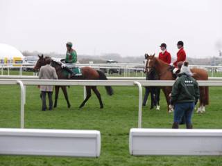 i race 5 winner.jpg