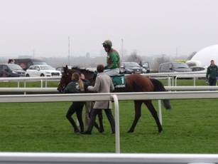 j race 5 winner.jpg