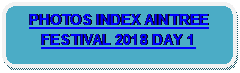 Rounded Rectangle: PHOTOS INDEX AINTREE FESTIVAL 2018 DAY 1