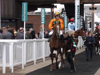 c race 6 Robinshill.jpg