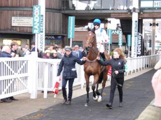 h race 6 Tommy Silver.jpg