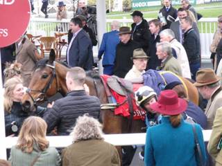 y race 7 2nd Midnight Referendum.jpg