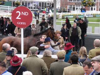 z2 race 7 2nd Midnight Referendum.jpg