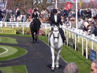 Side Saddle 1.jpg