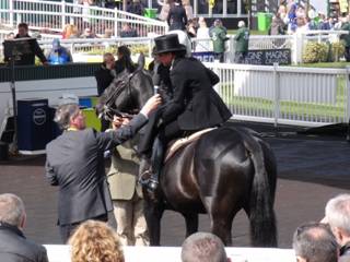 Side Saddle 2.jpg