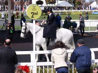 Side Saddle 4.jpg