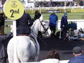 Side Saddle 5.jpg