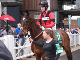 Race 1 h Dashing Oscar.jpg
