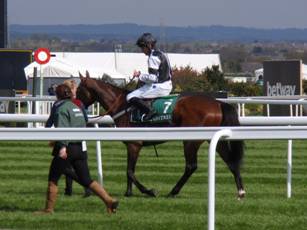 Race 1 z Rather Be winner.jpg