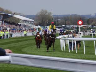 Race 2 m the finish.jpg