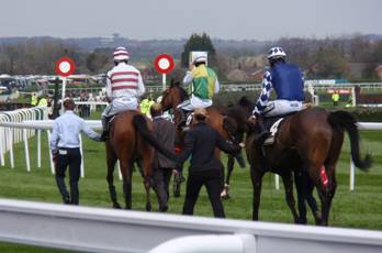 Race 2 n led back.jpg