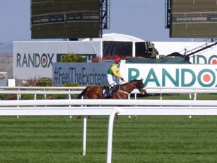 Race 4 m winner Fox Norton.jpg