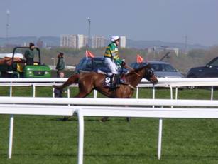 Race 4 n Uxizandre.jpg