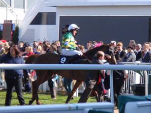 Race 4 p Uxizandre.jpg