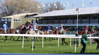 Race 5 z7 Also rans.jpg