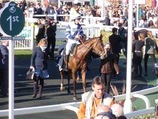 Race 7 u Enniscoffey Oscar.jpg