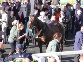 Race 7 w Lalor.jpg