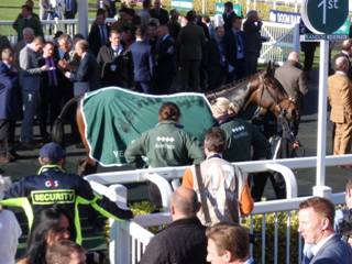 Race 7 x Lalor.jpg